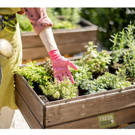 From Simple to Spectacular: Why Fresh Herbs Matter More Than You Think