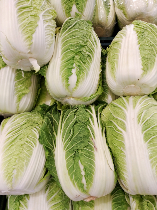 Organic Wombok Cabbage HALF