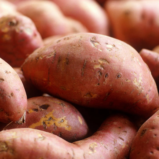 Organic Sweet Potato 500g