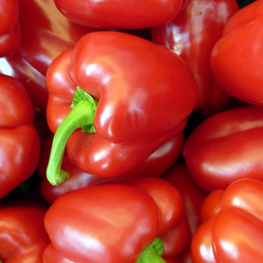 Organic Capsicum Red x 1 | FreshBox