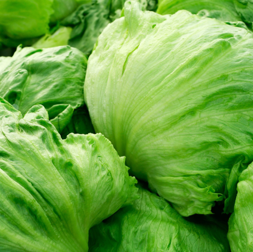 Organic Lettuce Iceberg | FreshBox