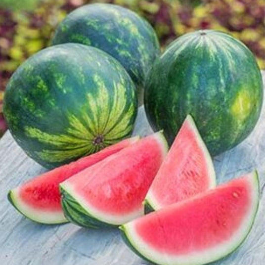 Organic Watermelon 5.5kg