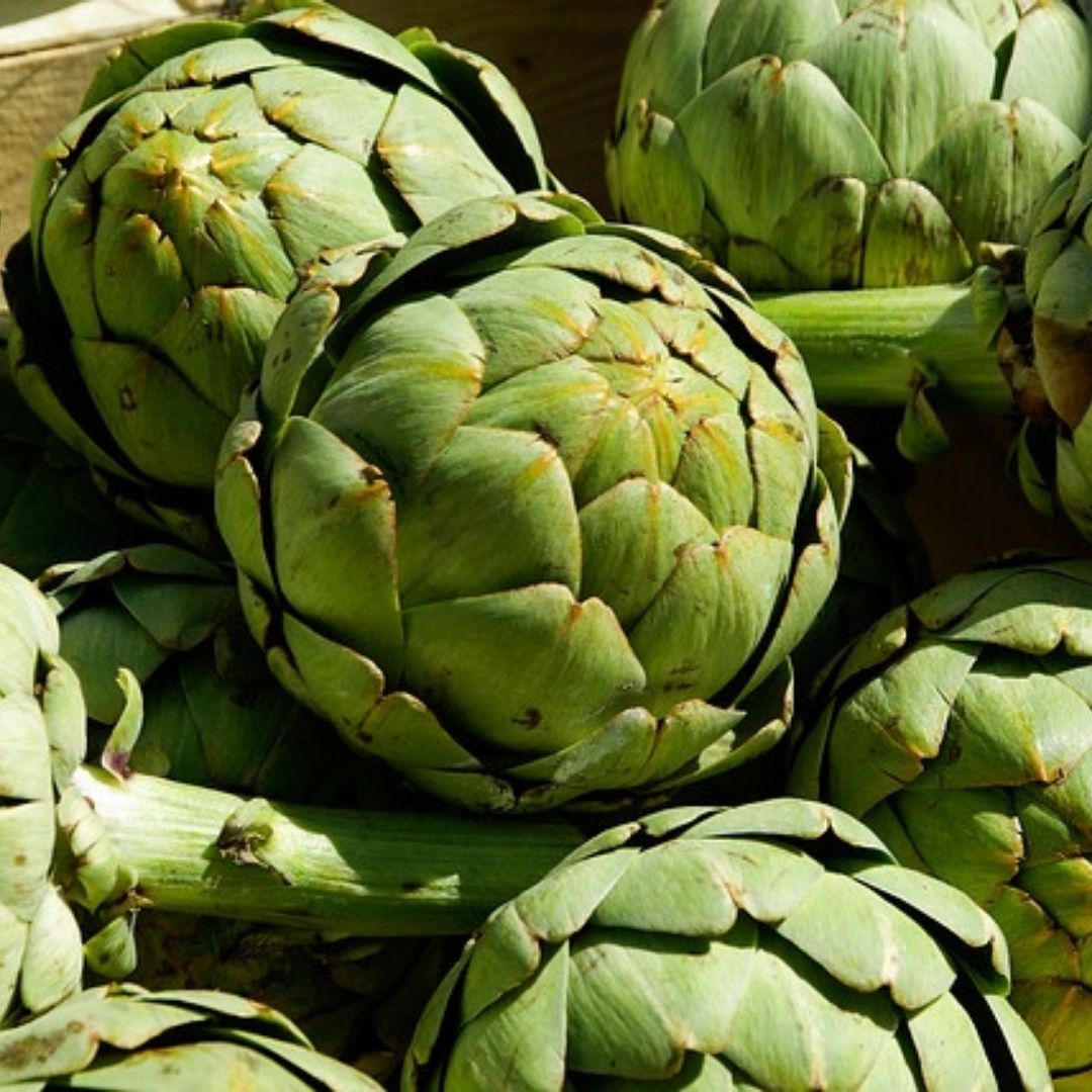 Artichoke x 1 | FreshBox