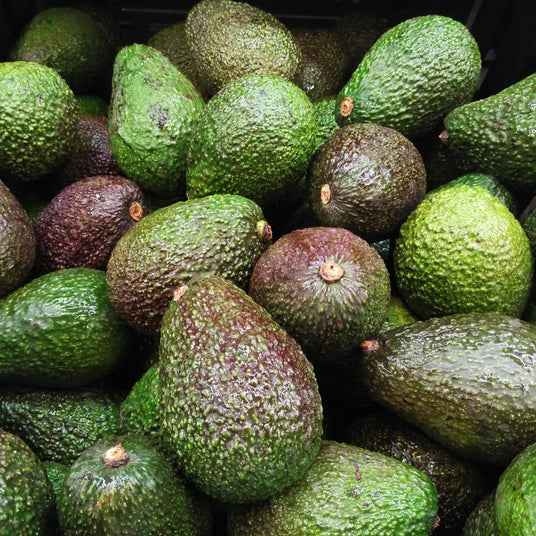Organic Avocado x 3 | FreshBox