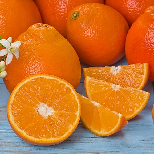 Organic Tangelo 1kg