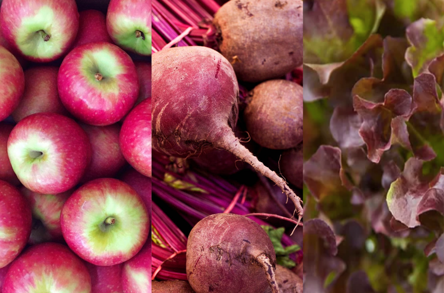 What's Fresh This Week & New Produce from Farmer Lachlan 👨‍🌾 in Wamuran