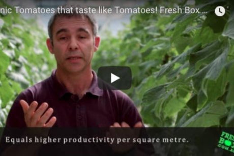 Tony - Imbil | FreshBox