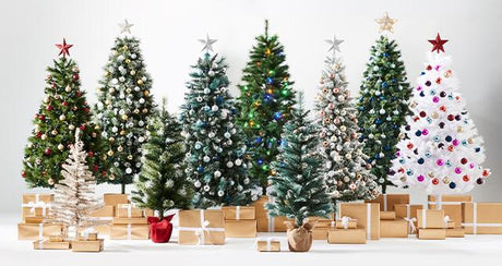 Christmas Time | FreshBox