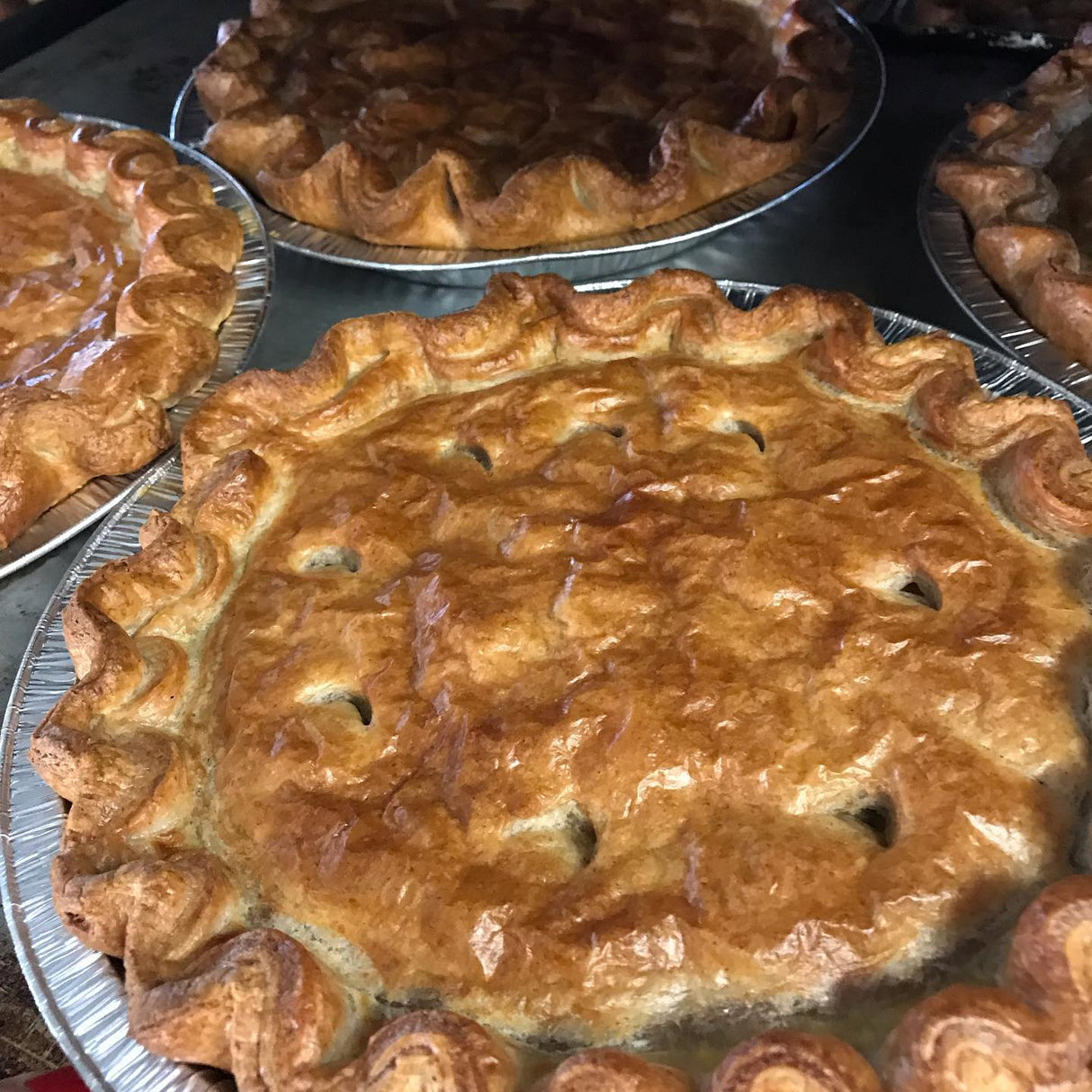 Britt's Organic Spelt gluten free Apple pie (Large) serves 6