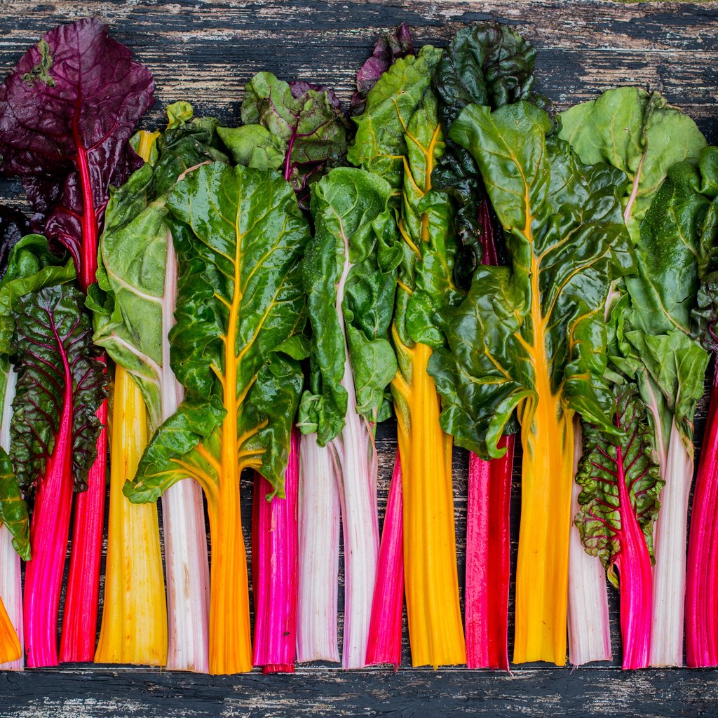 Organic Rainbow Swiss Chard Bunch x 1 | FreshBox
