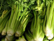 Organic Celery JUICING | FreshBox