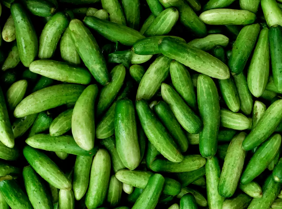 Organic Cucumbers Juicing 1kg