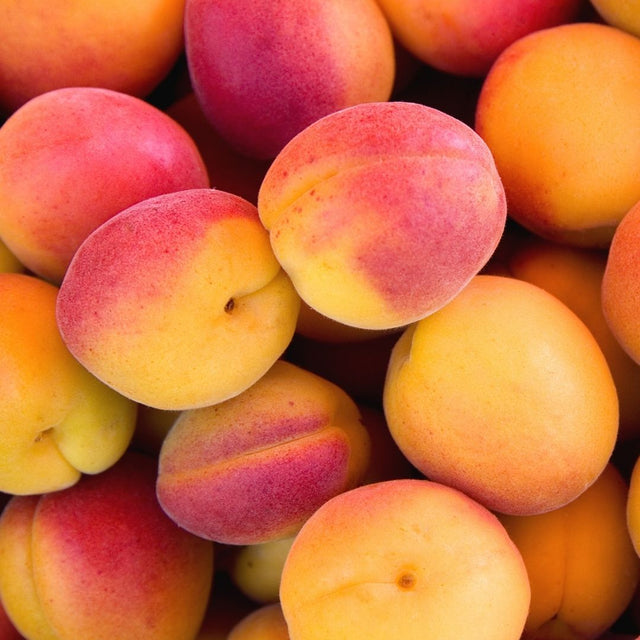 Organic Apricots 250g | FreshBox
