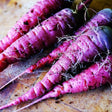 Organic Carrots Purple 500g | FreshBox