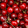 Organic Cherries 500g | FreshBox