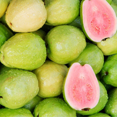 Guava 500g | FreshBox